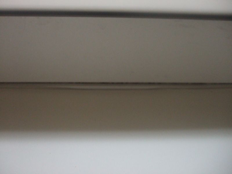 a0038328_0101531.jpg