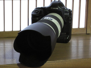 b0177233_5422112.jpg