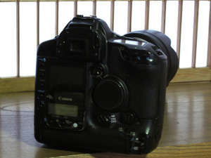 b0177233_5423775.jpg