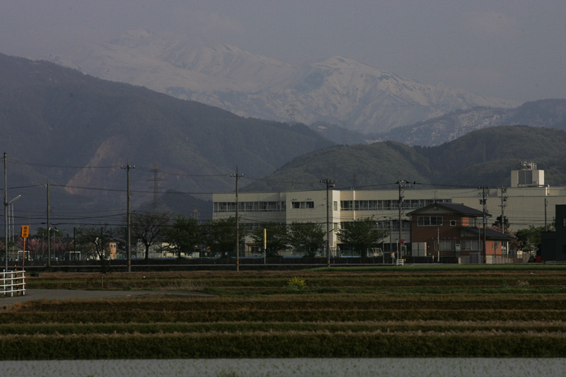 b0177233_5541128.jpg