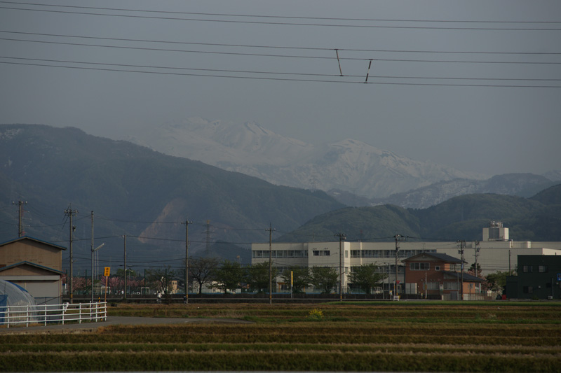 b0177233_5543510.jpg