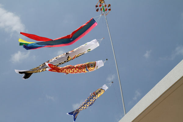 f0175934_8311819.jpg