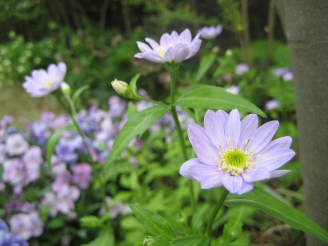 b0166435_041339.jpg