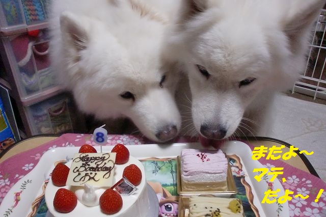e0196135_05593.jpg