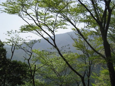 c0077338_659579.jpg
