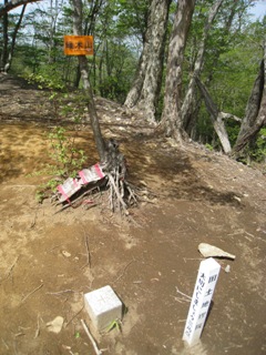 c0077338_701564.jpg