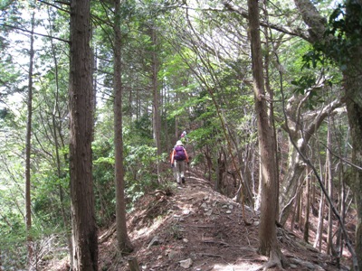 c0077338_704090.jpg