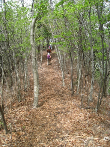 c0077338_732172.jpg
