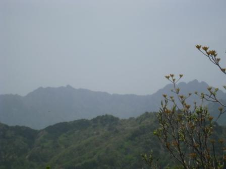 c0077338_7357100.jpg
