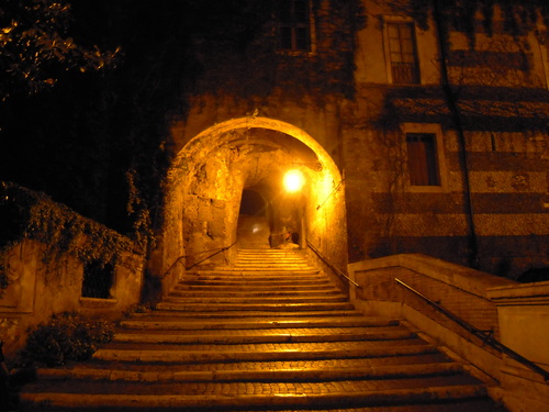 d0170140_074132.jpg