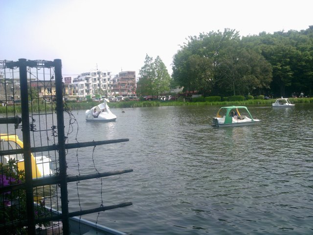 f0126940_19505284.jpg