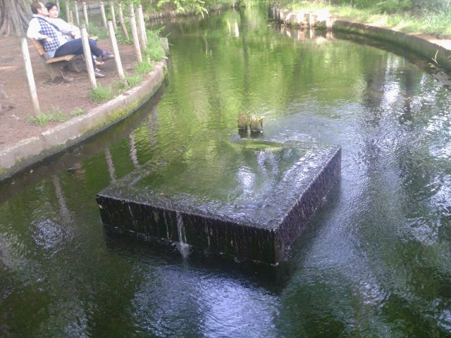 f0126940_202283.jpg