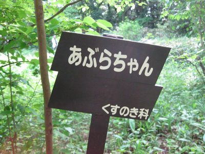f0141840_23265620.jpg