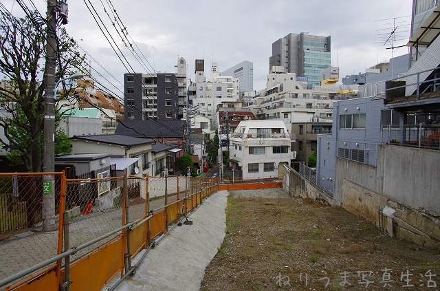 a0009142_19382738.jpg