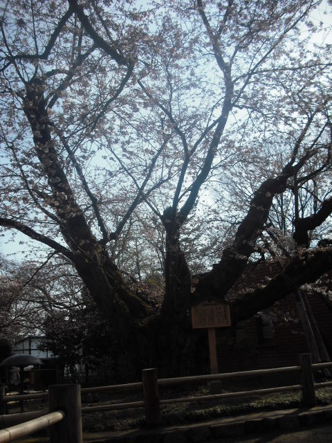 c0194042_22105881.jpg