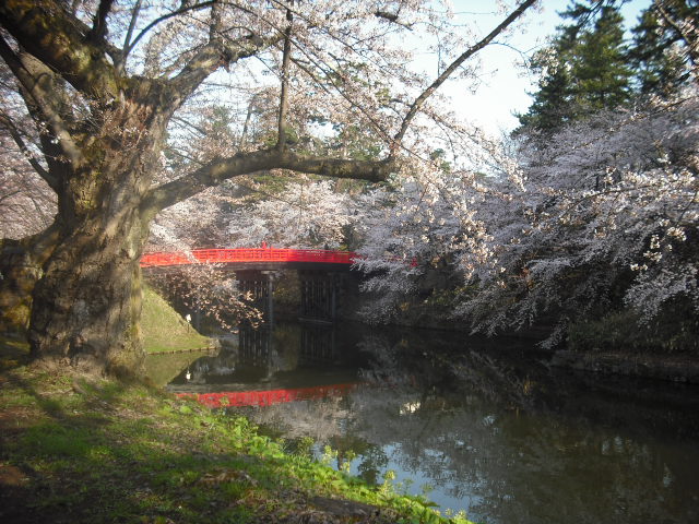 c0194042_226557.jpg