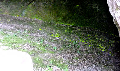 d0039443_14251499.jpg
