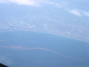 d0142944_14234194.jpg