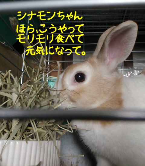 a0095546_054145.jpg