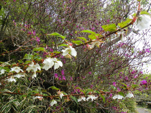 c0179351_20475787.jpg
