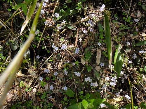 c0179351_20523631.jpg