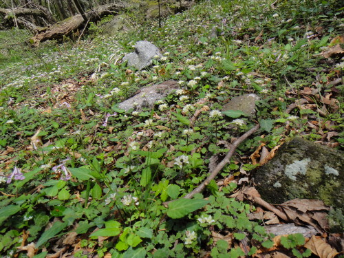 c0179351_20543714.jpg