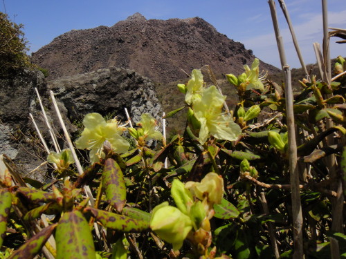 c0179351_20571031.jpg