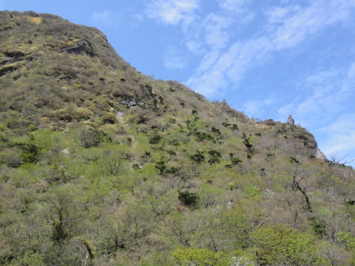 c0179351_20582188.jpg