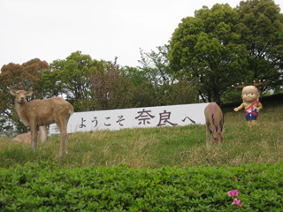 a0052952_23284723.jpg
