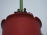 d0031853_622643.jpg