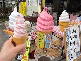 d0031853_6292517.jpg