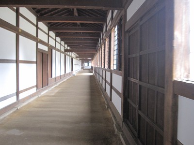 d0031853_6503372.jpg
