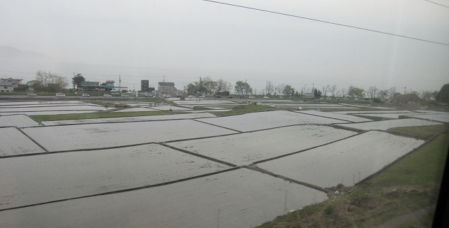 d0031853_79232.jpg