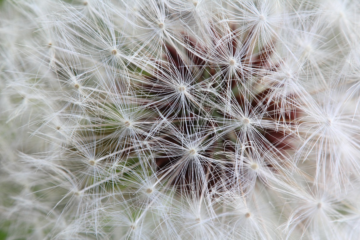 e0229455_12243560.jpg