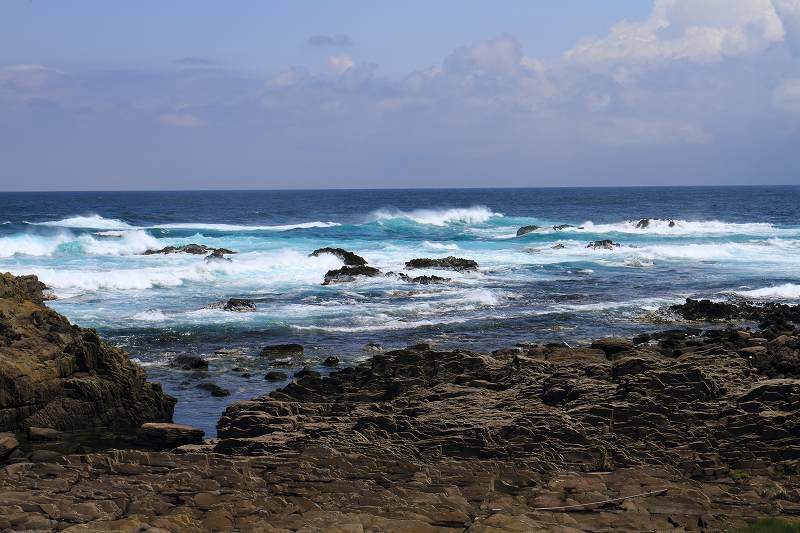 f0044056_7223976.jpg