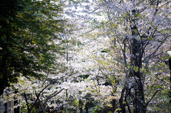 f0176458_130474.jpg