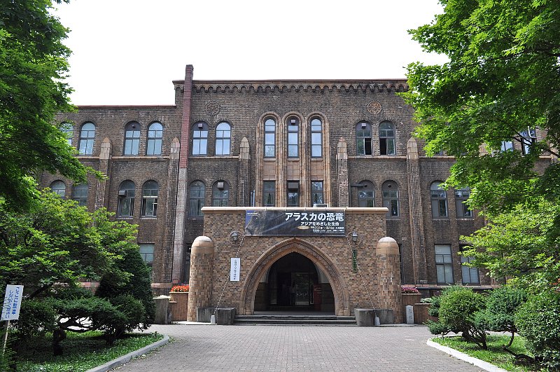 北海道大学総合博物館