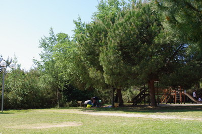 c0161459_18144170.jpg