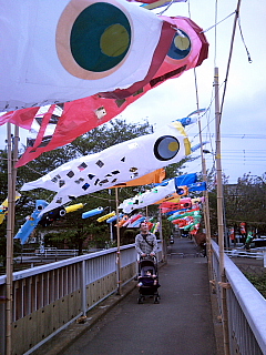 a0157160_2048363.jpg