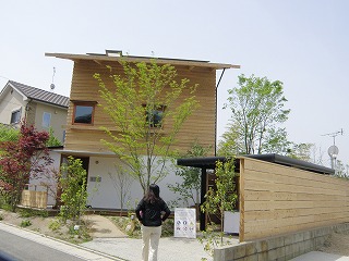 b0061863_180877.jpg