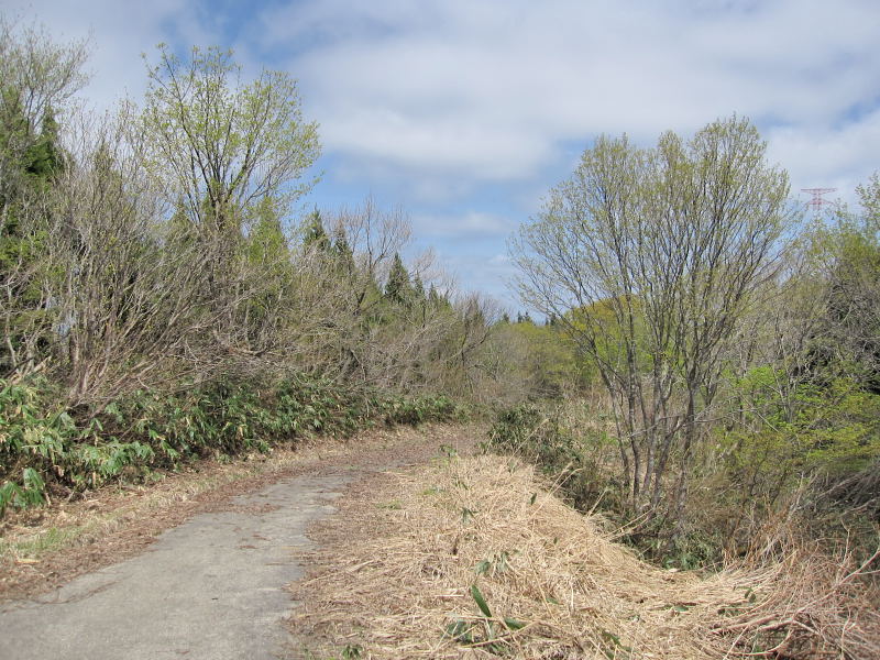 a0196565_21391782.jpg