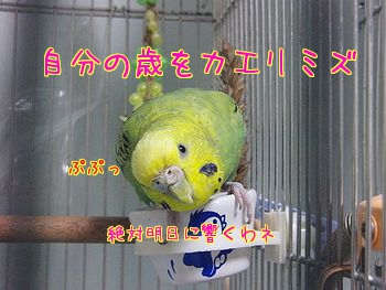 f0196665_23301123.jpg