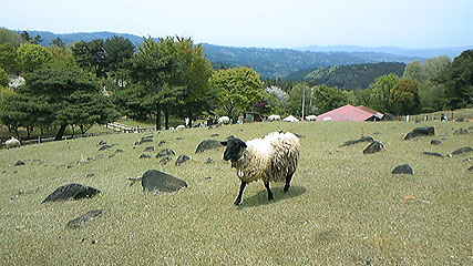 c0171468_2143116.jpg