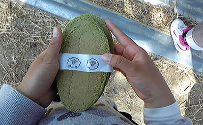 c0171468_21525072.jpg