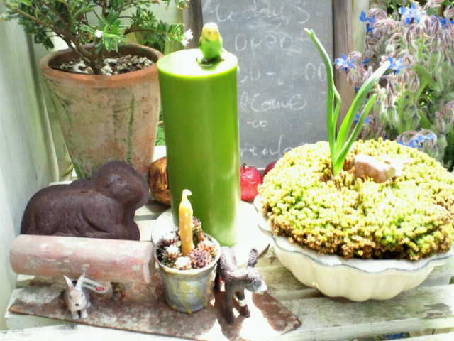 f0016868_1140755.jpg