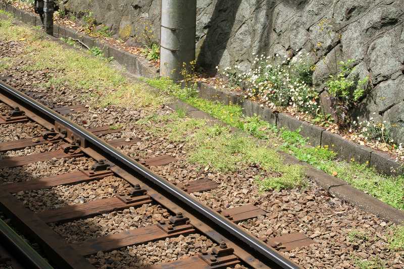 c0134569_22193829.jpg
