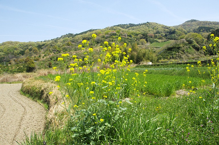 a0050572_9282437.jpg