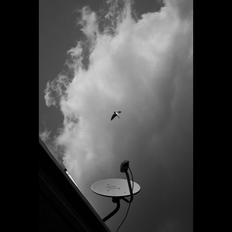 c0118173_8194934.jpg