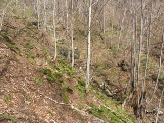 d0134473_153828.jpg