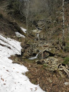 d0134473_15415791.jpg